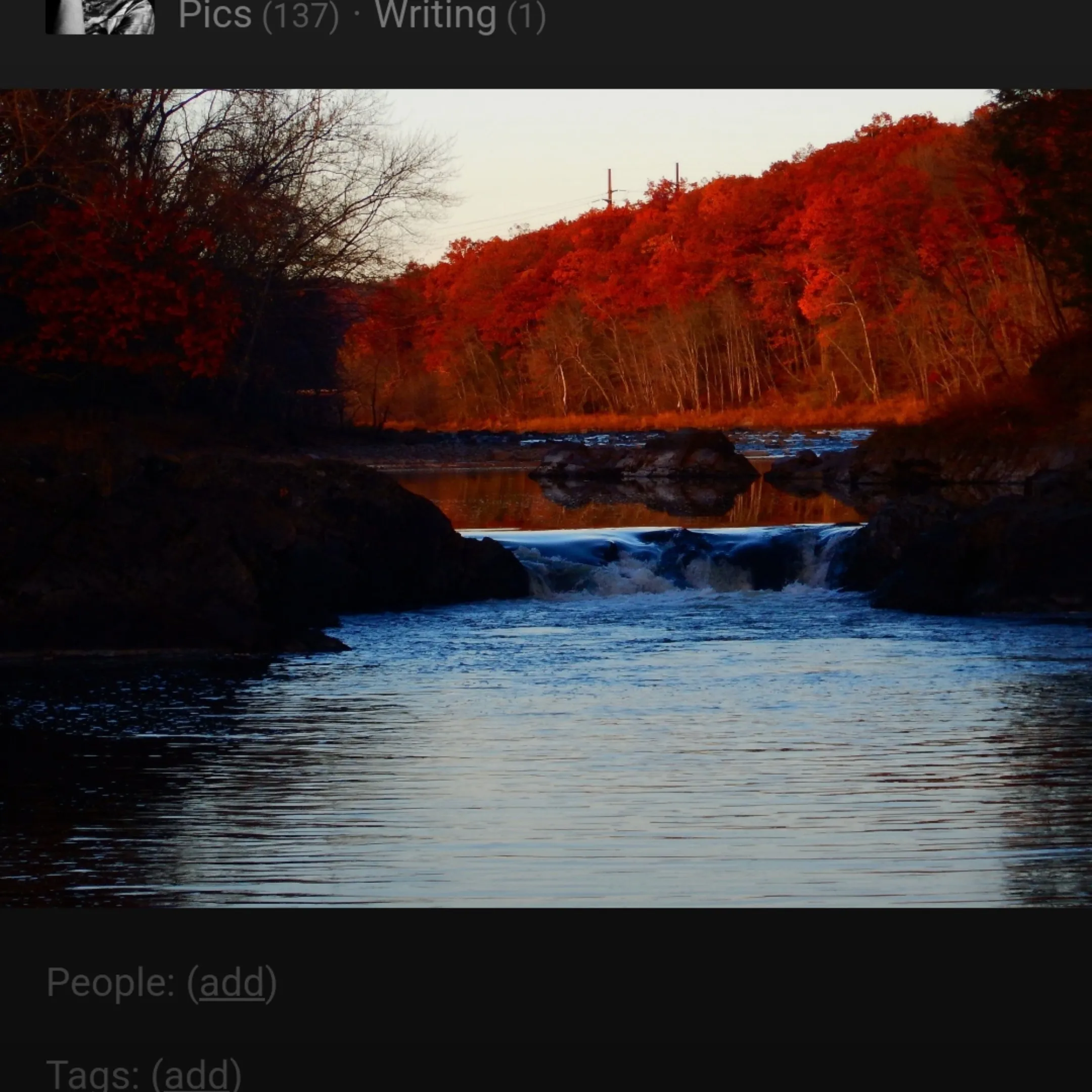 Sirhornofchaos - Content Creator